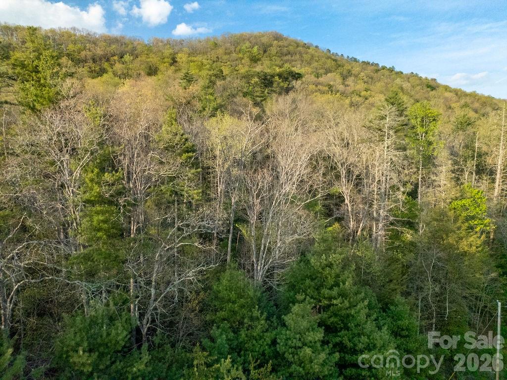 Off Diamond Creek Road