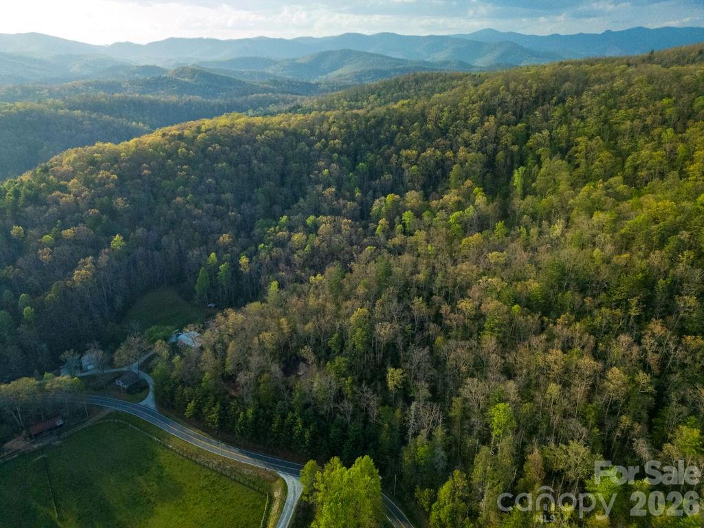 Off Diamond Creek Road