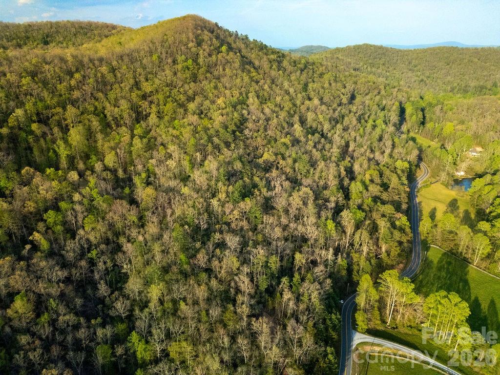 Off Diamond Creek Road