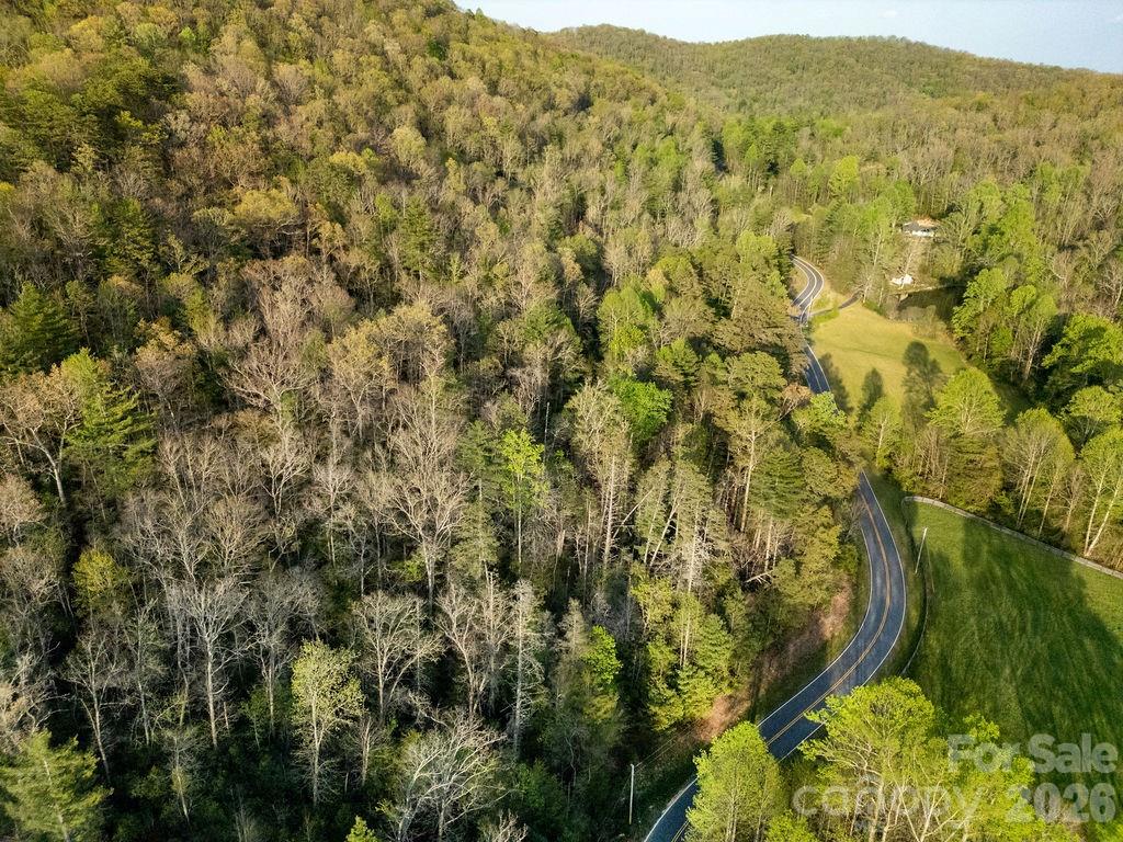 Off Diamond Creek Road