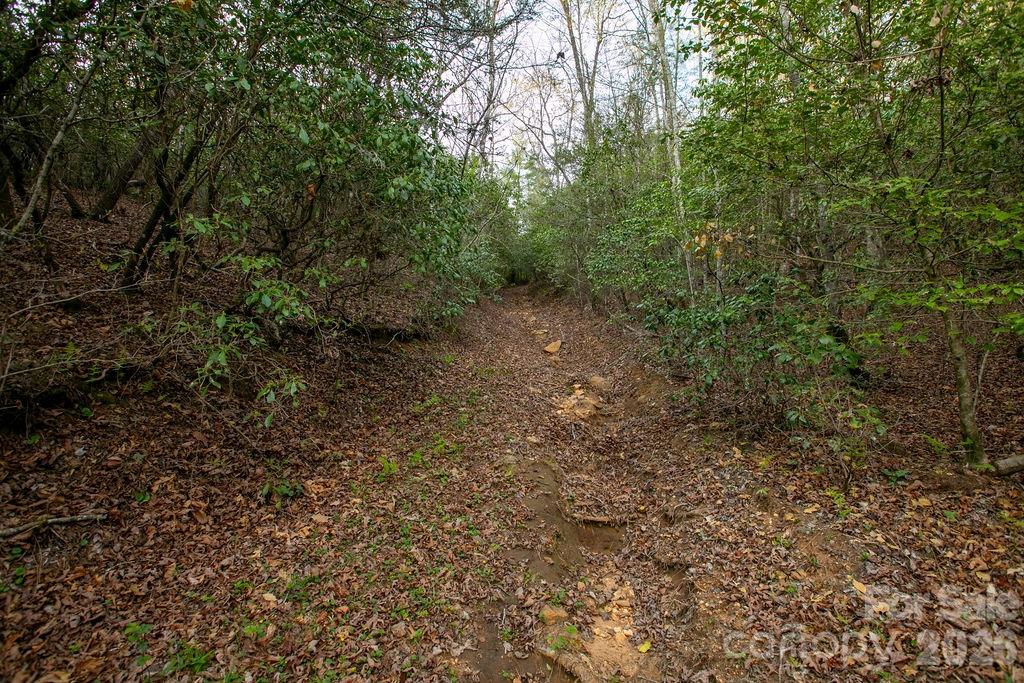 Off Diamond Creek Road