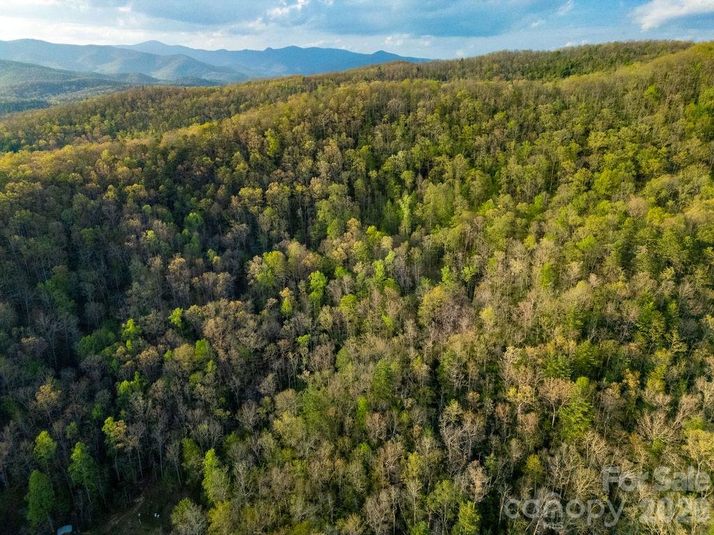 Off Diamond Creek Road