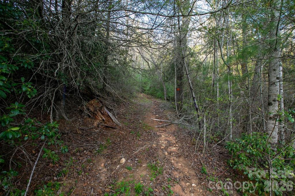 Off Diamond Creek Road