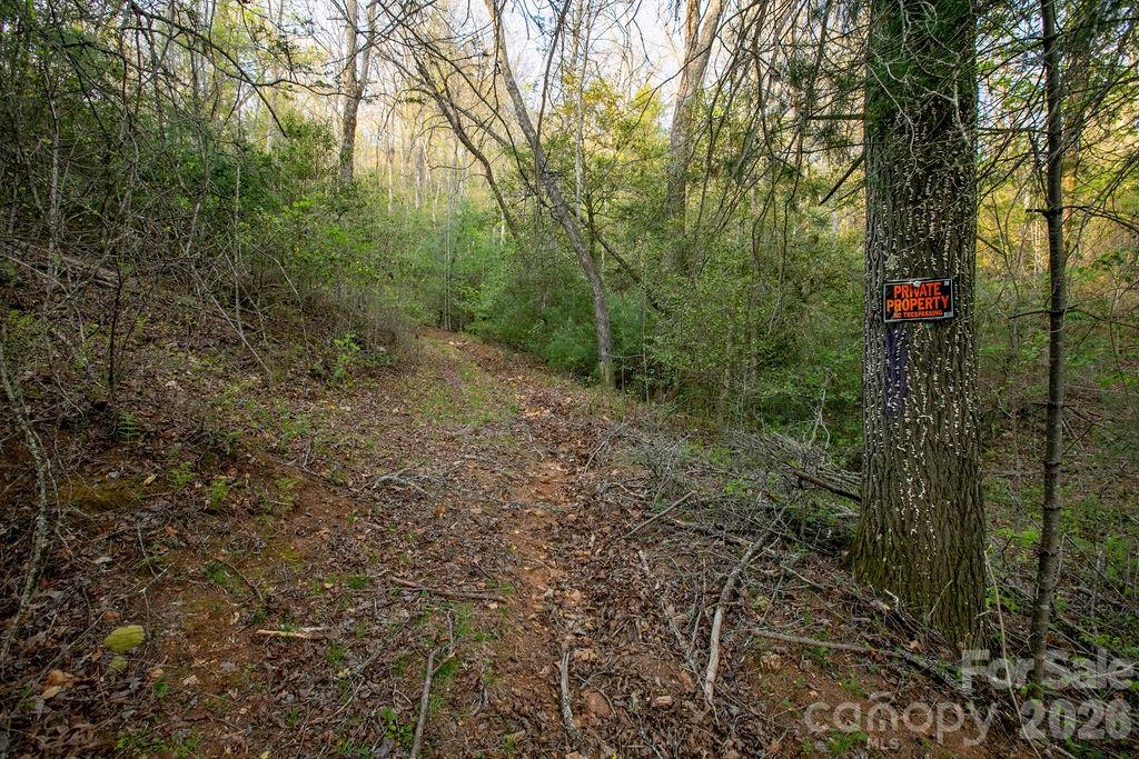 Off Diamond Creek Road