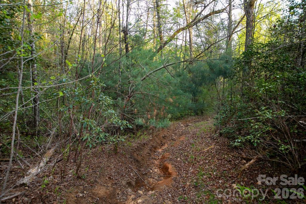 Off Diamond Creek Road