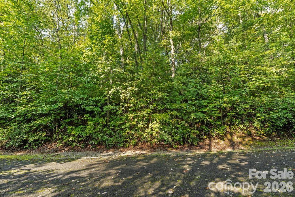 TBD Barts Branch Drive Unit: 16