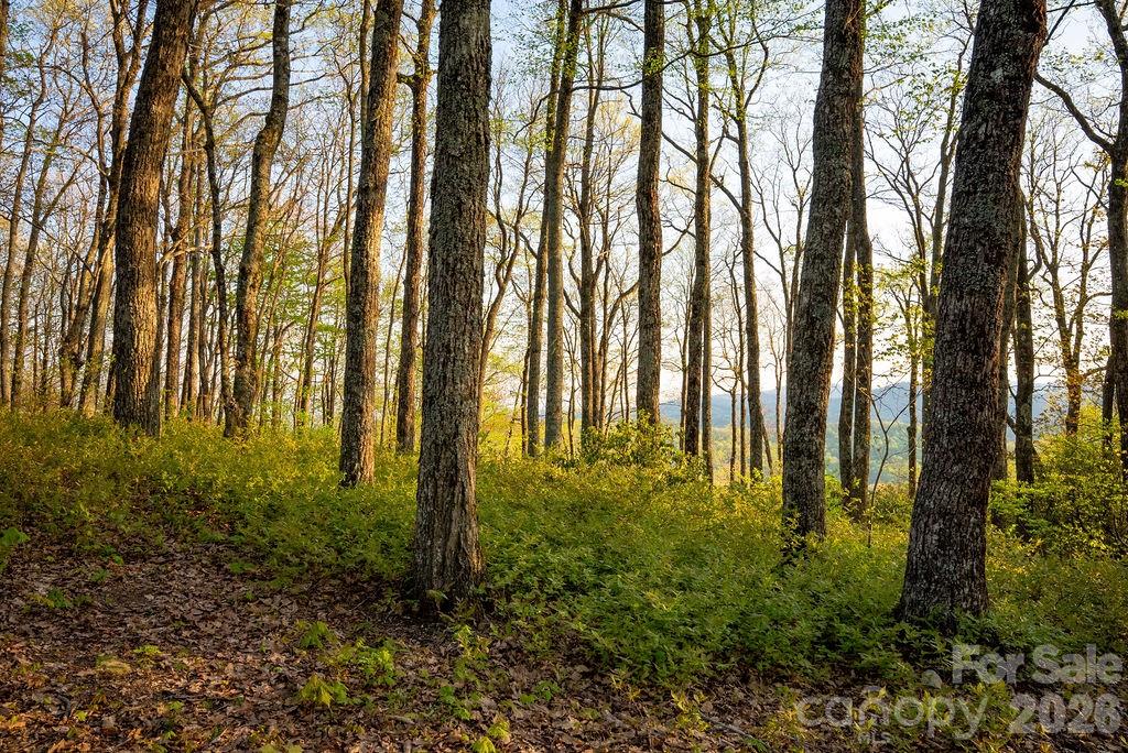 175 Skyview Road Unit: L-5