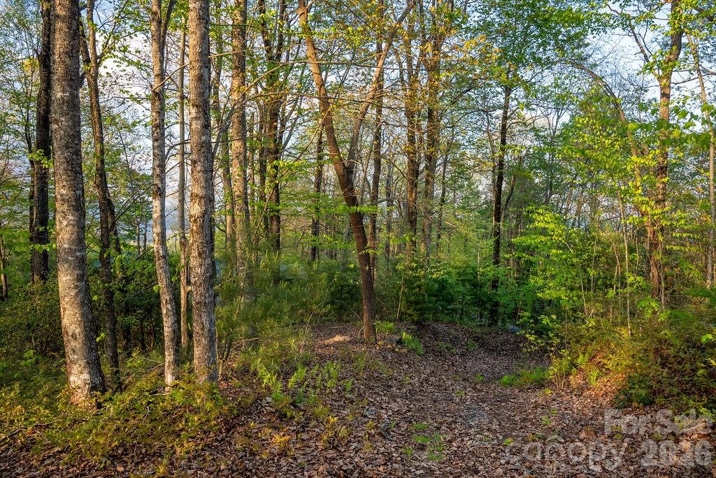 175 Skyview Road Unit: L-5