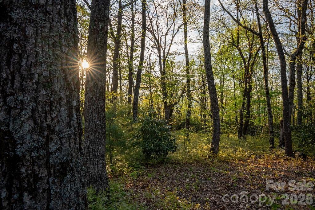 175 Skyview Road Unit: L-5