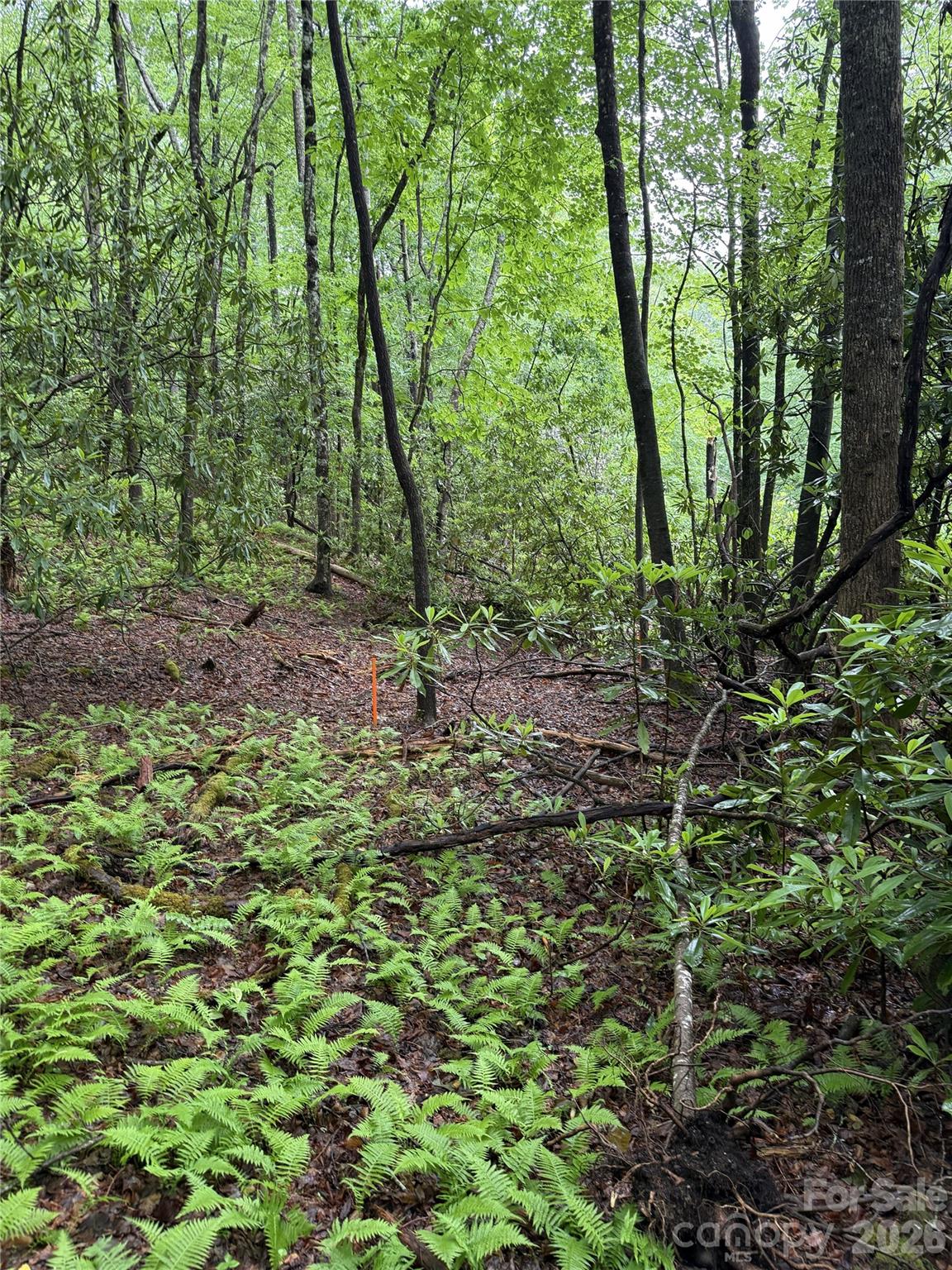 Lot 68 Cherrywood Lane