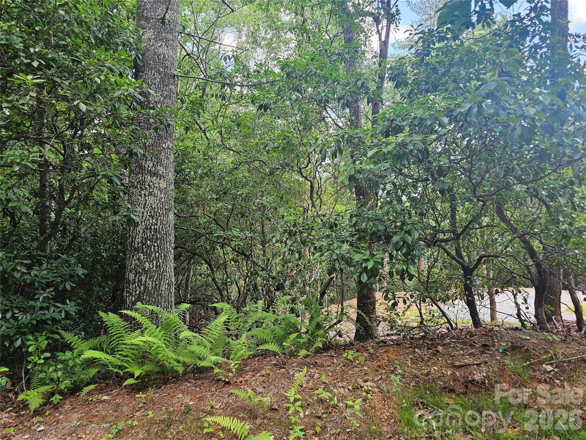 171 Duff Cove Road