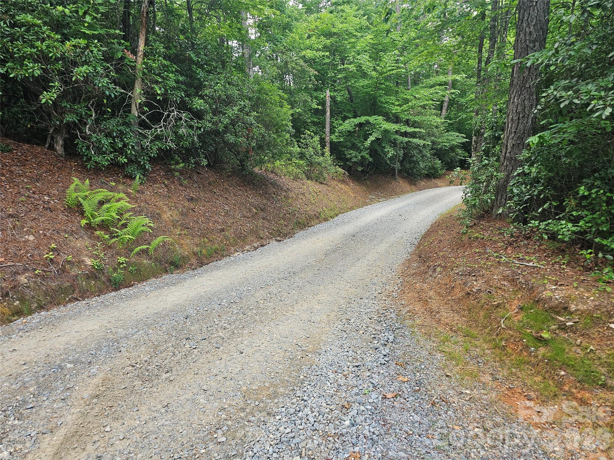 171 Duff Cove Road