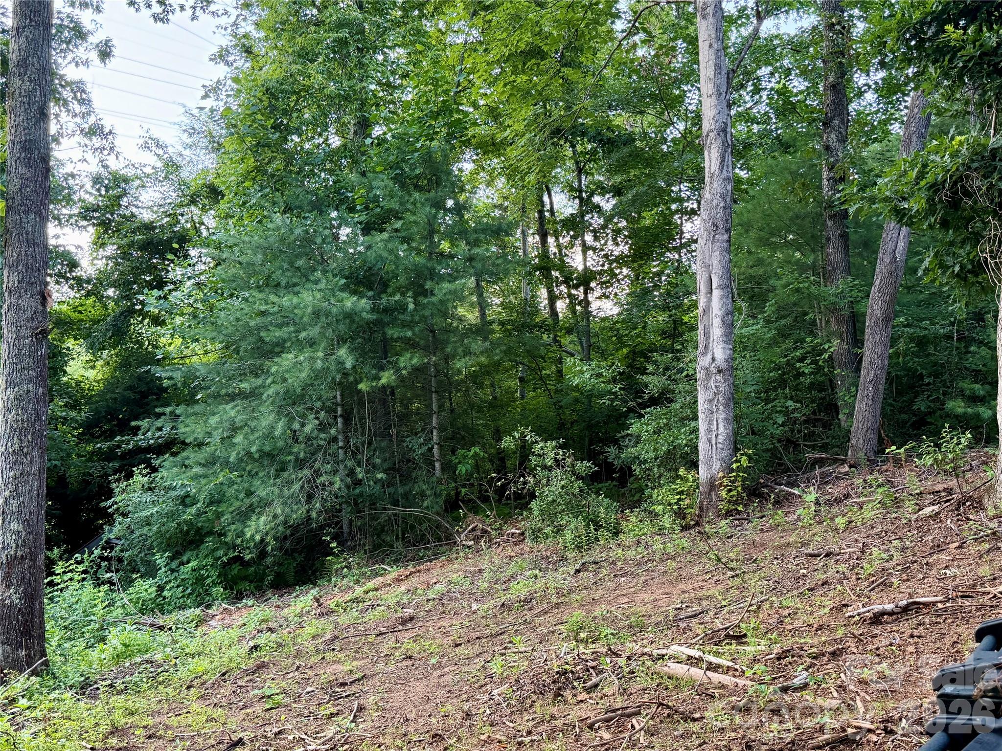 251 Cox Road