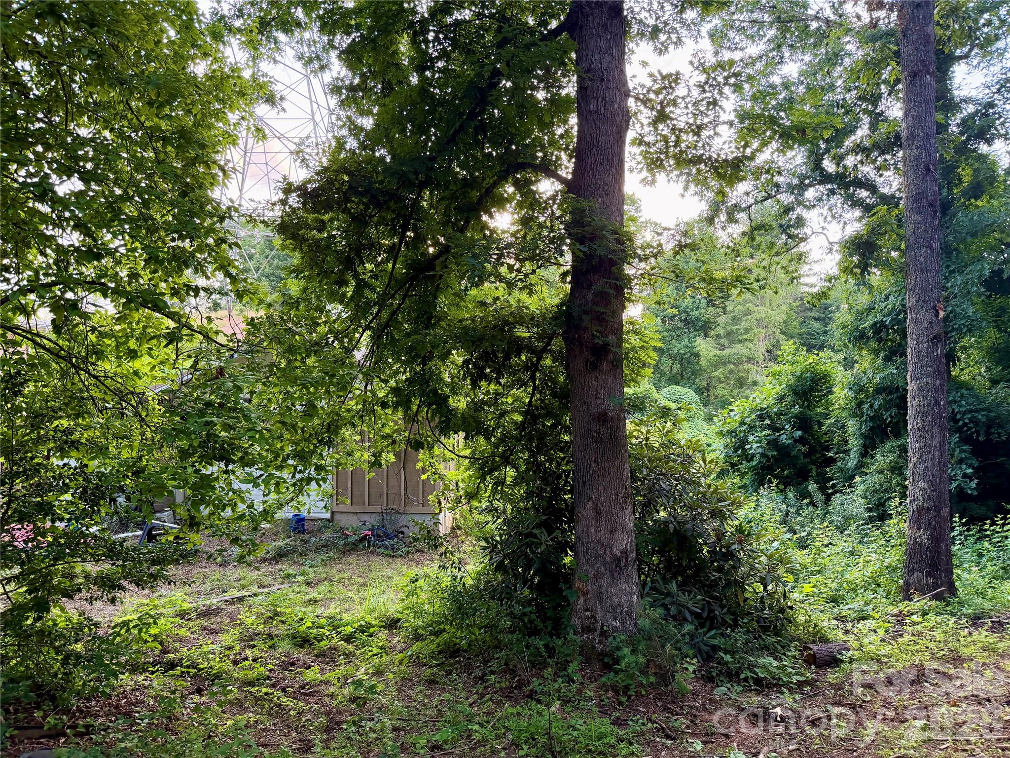 251 Cox Road