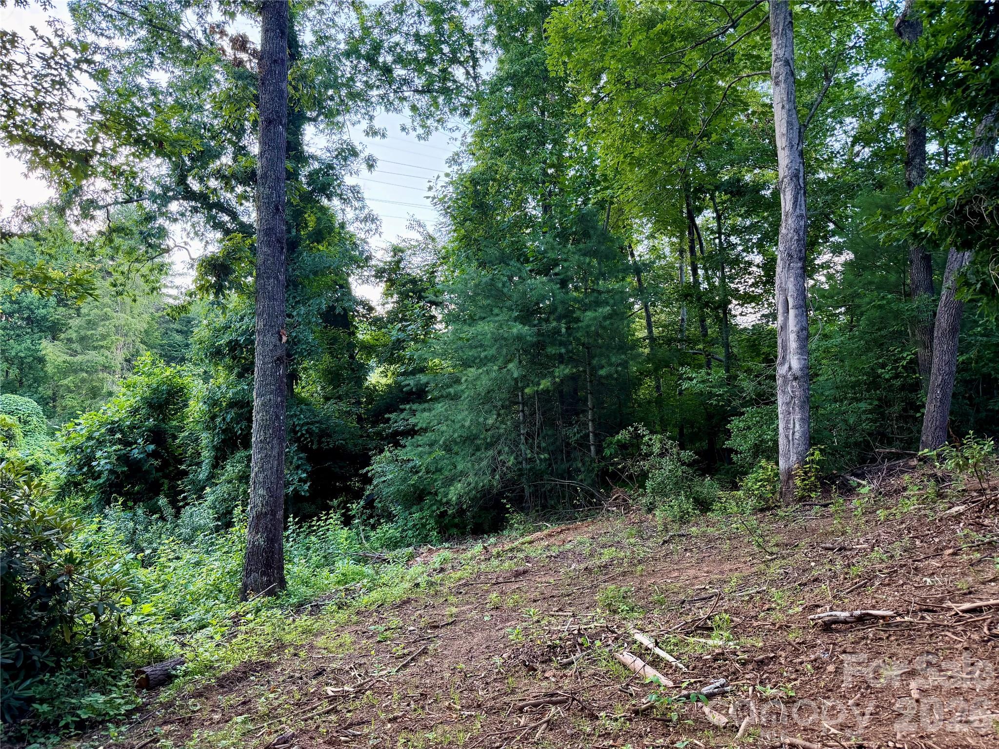 251 Cox Road