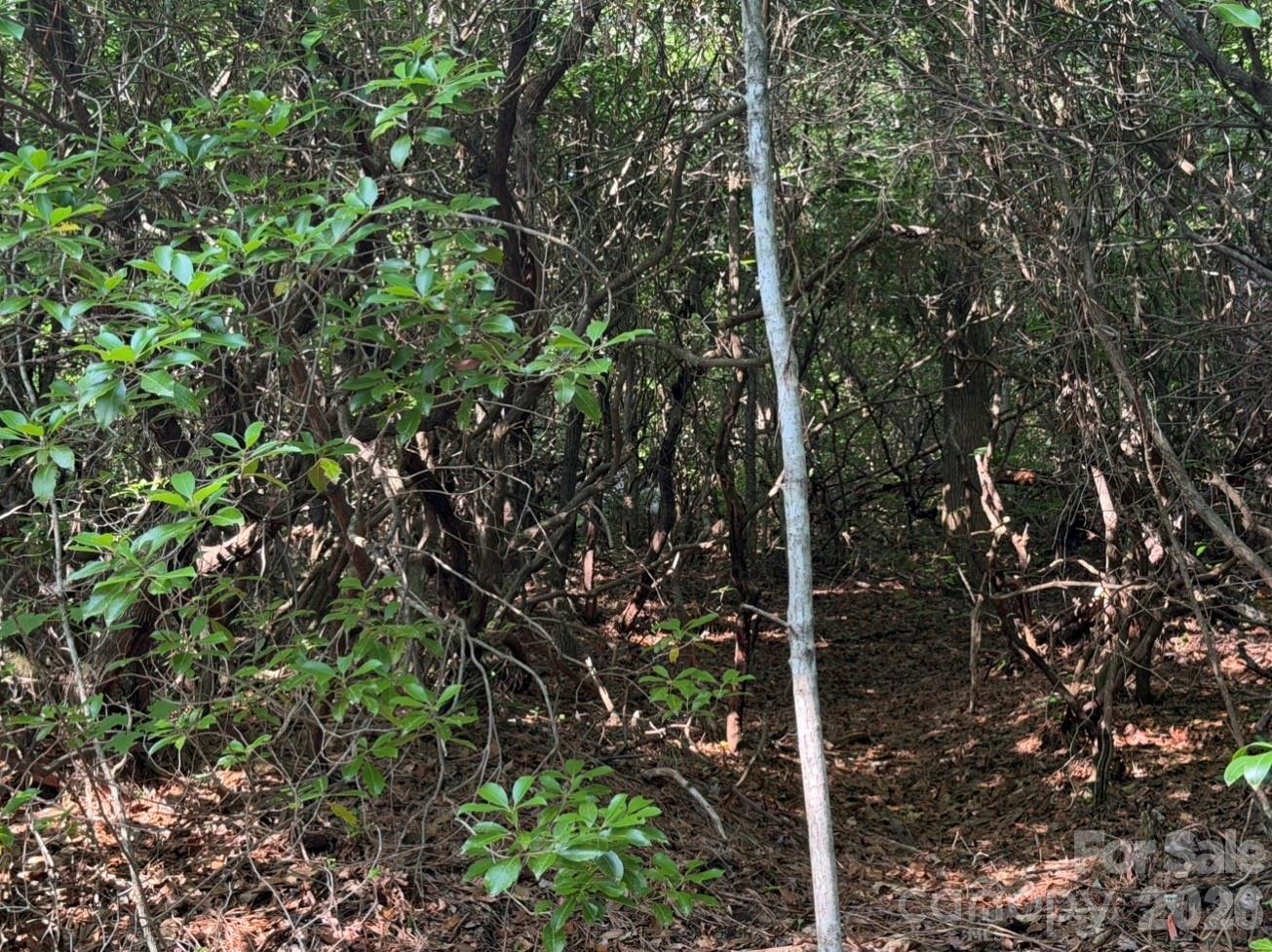 OFF Old Toxaway Road