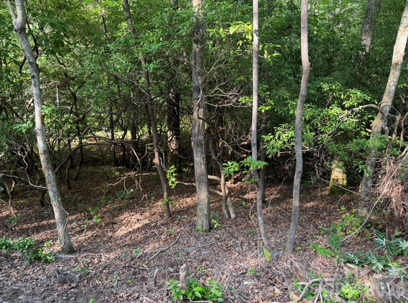 OFF Old Toxaway Road