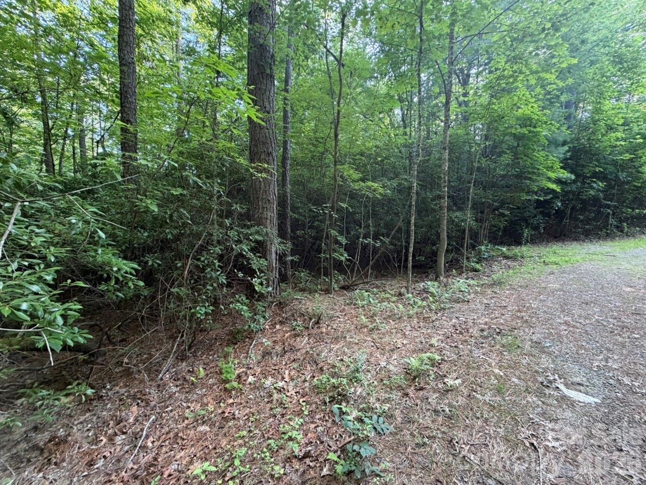 OFF Old Toxaway Road