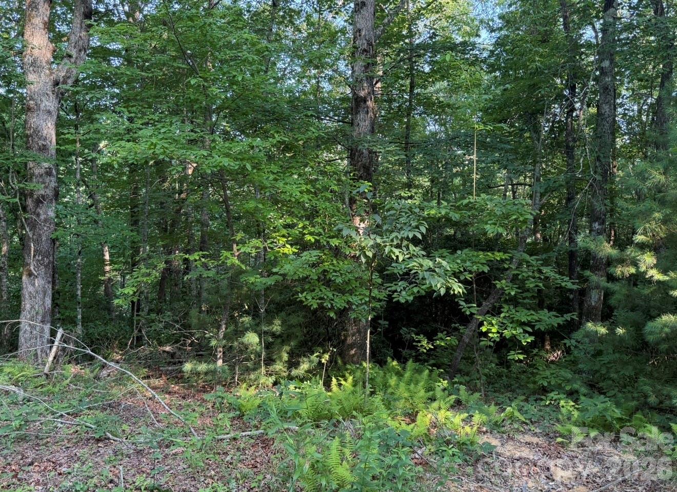 OFF Old Toxaway Road