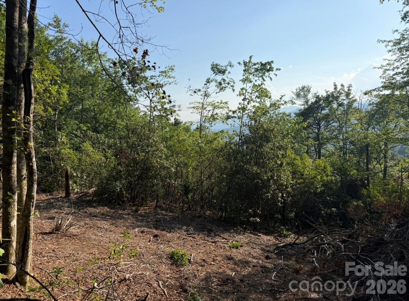 OFF Old Toxaway Road