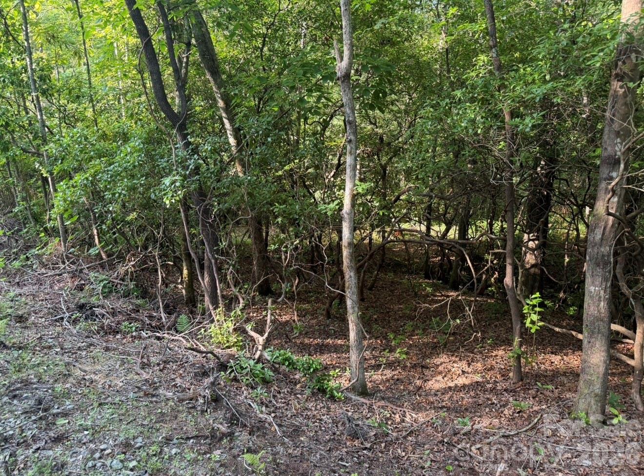OFF Old Toxaway Road