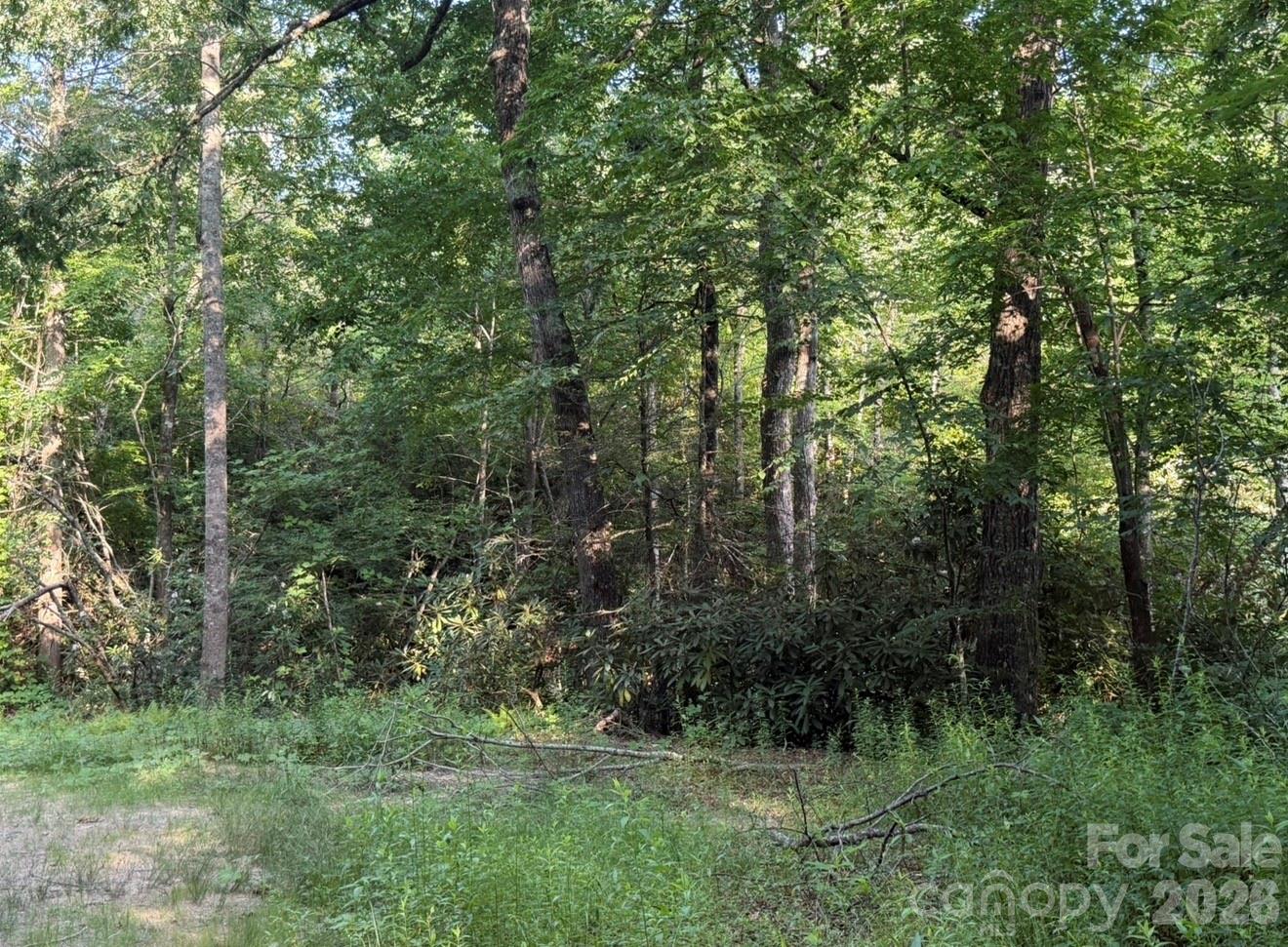 OFF Old Toxaway Road