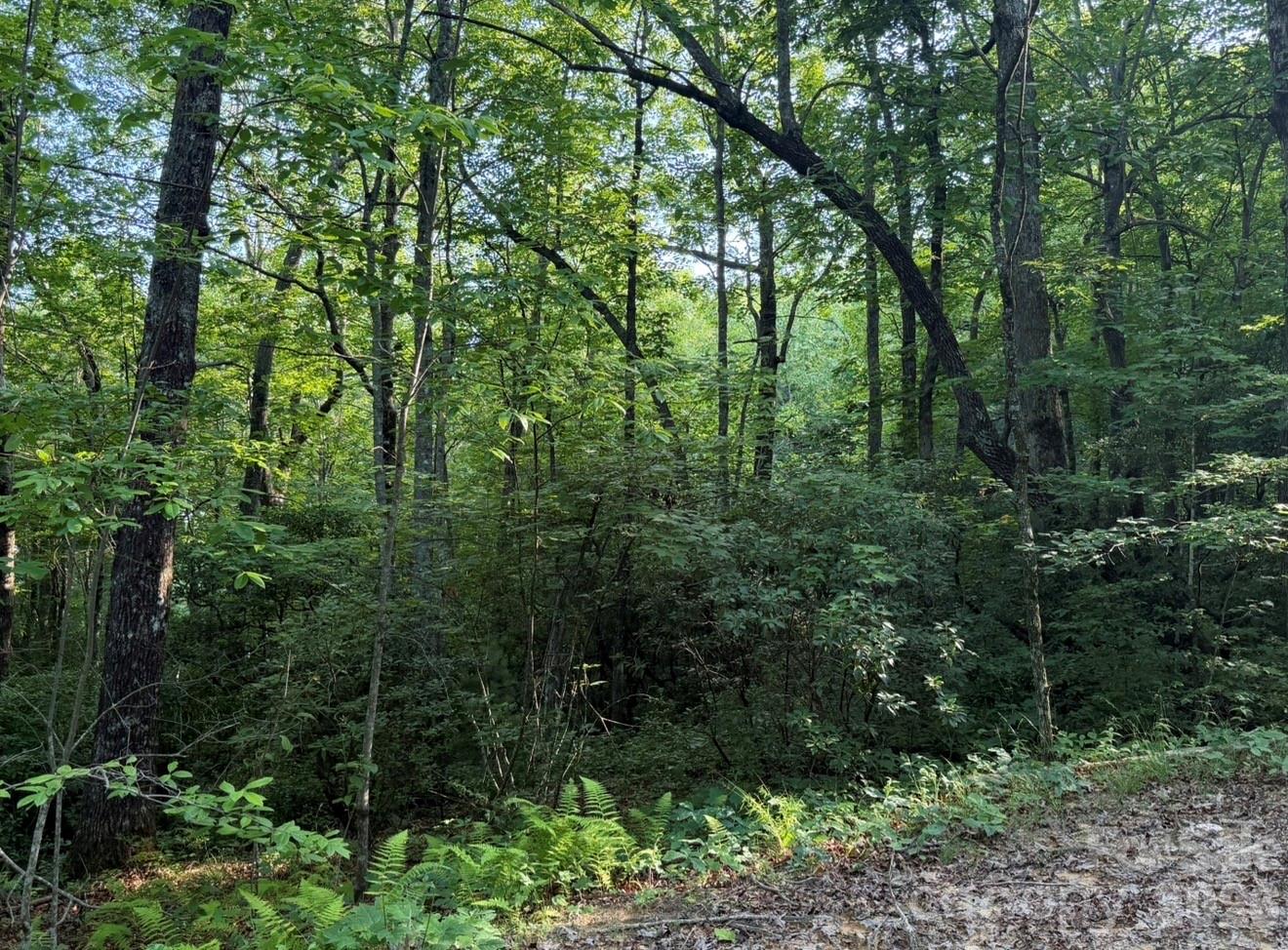 OFF Old Toxaway Road