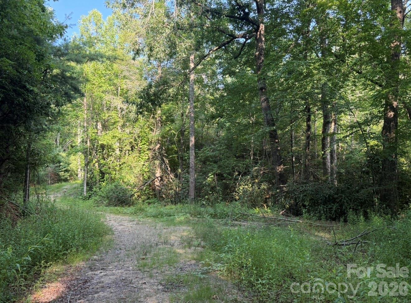 OFF Old Toxaway Road