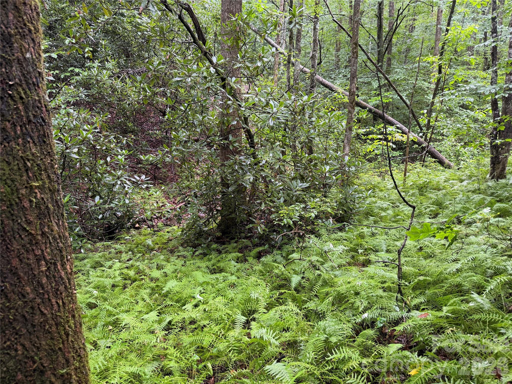Off Donald McCall Road