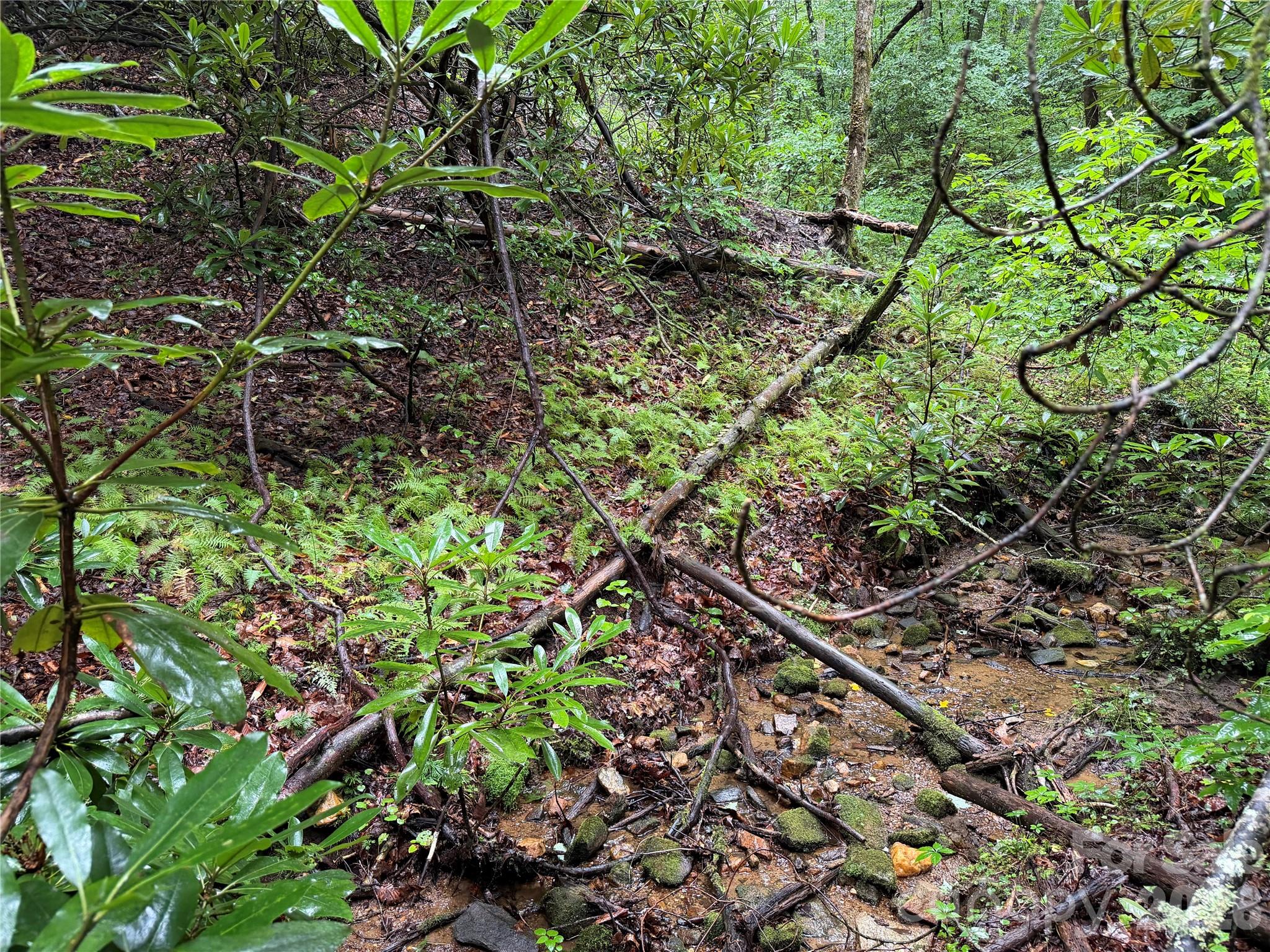 Off Donald McCall Road