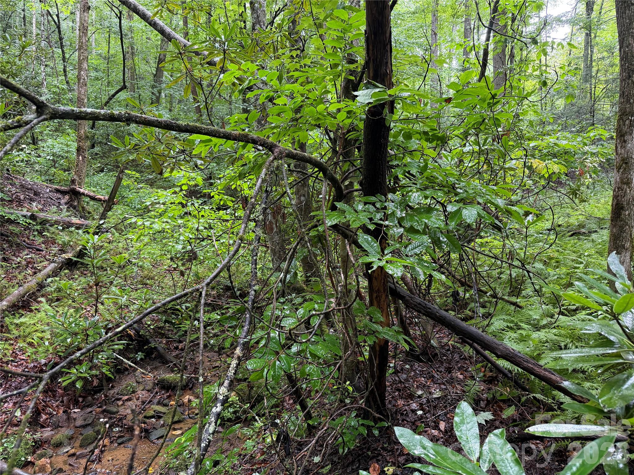 Off Donald McCall Road