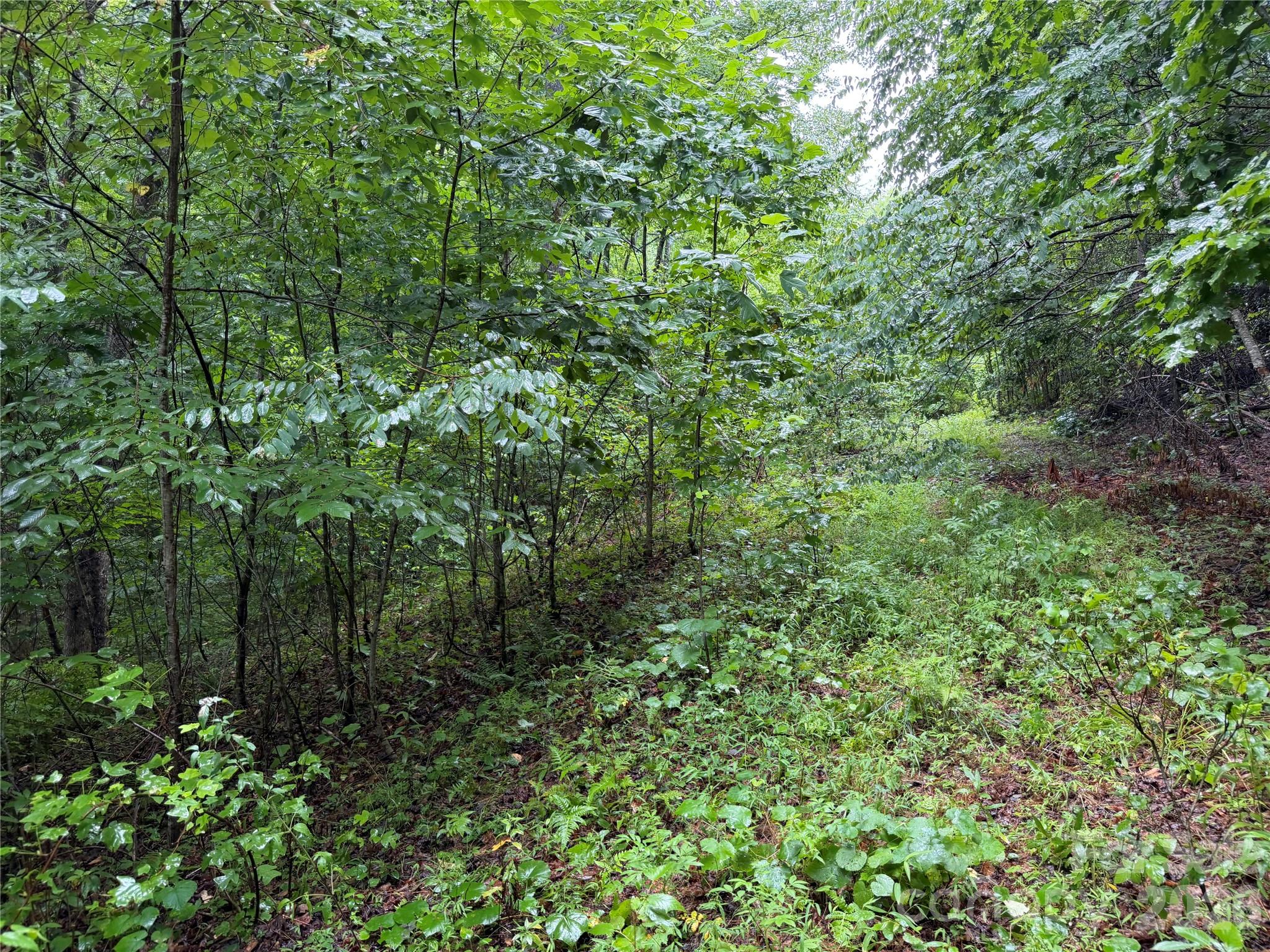 Off Donald McCall Road