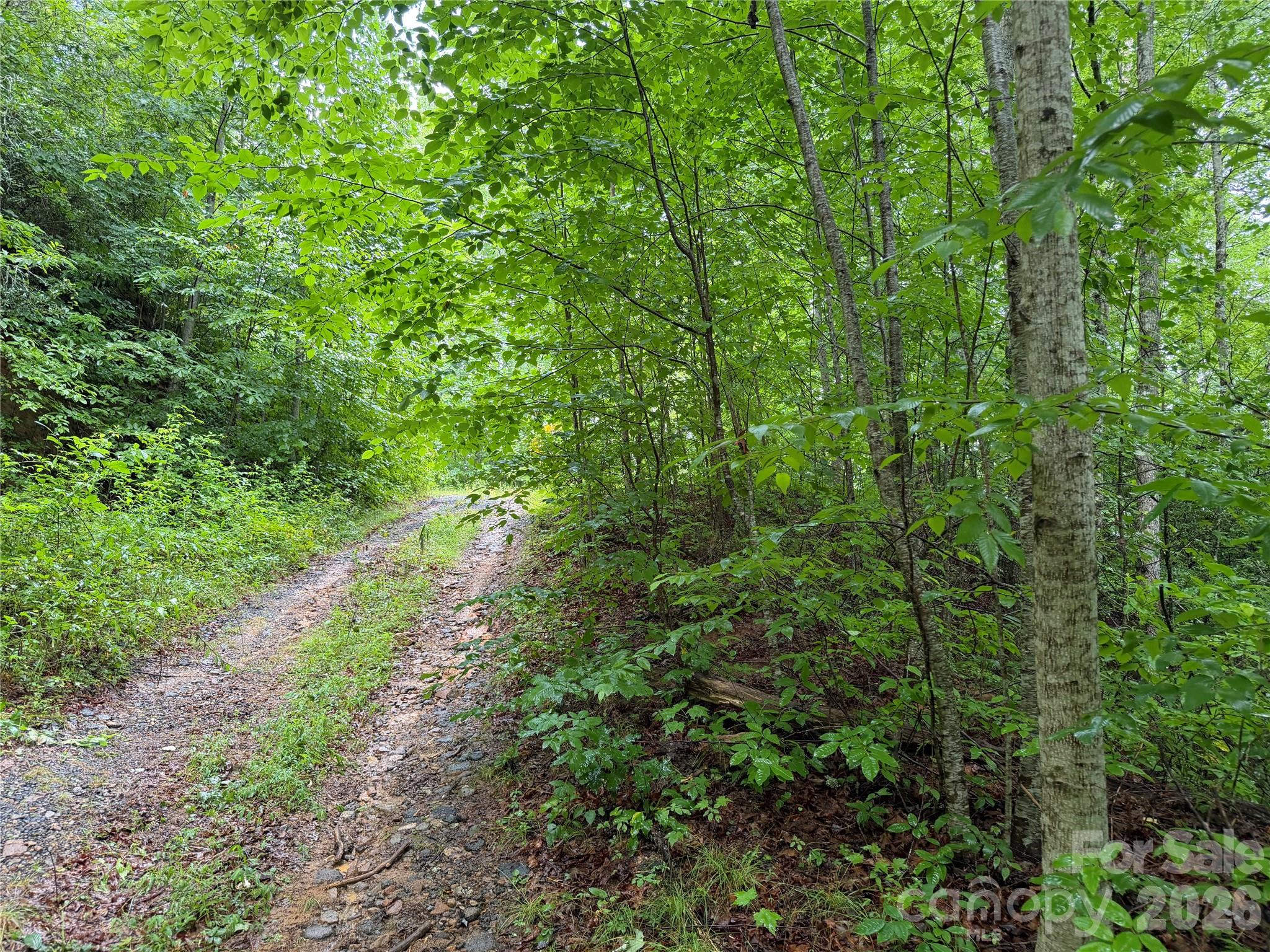 Off Donald McCall Road