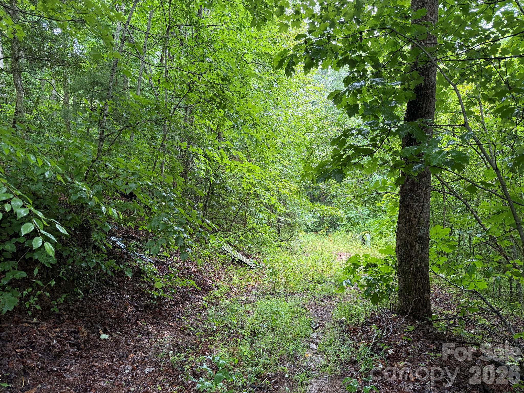 Off Donald McCall Road