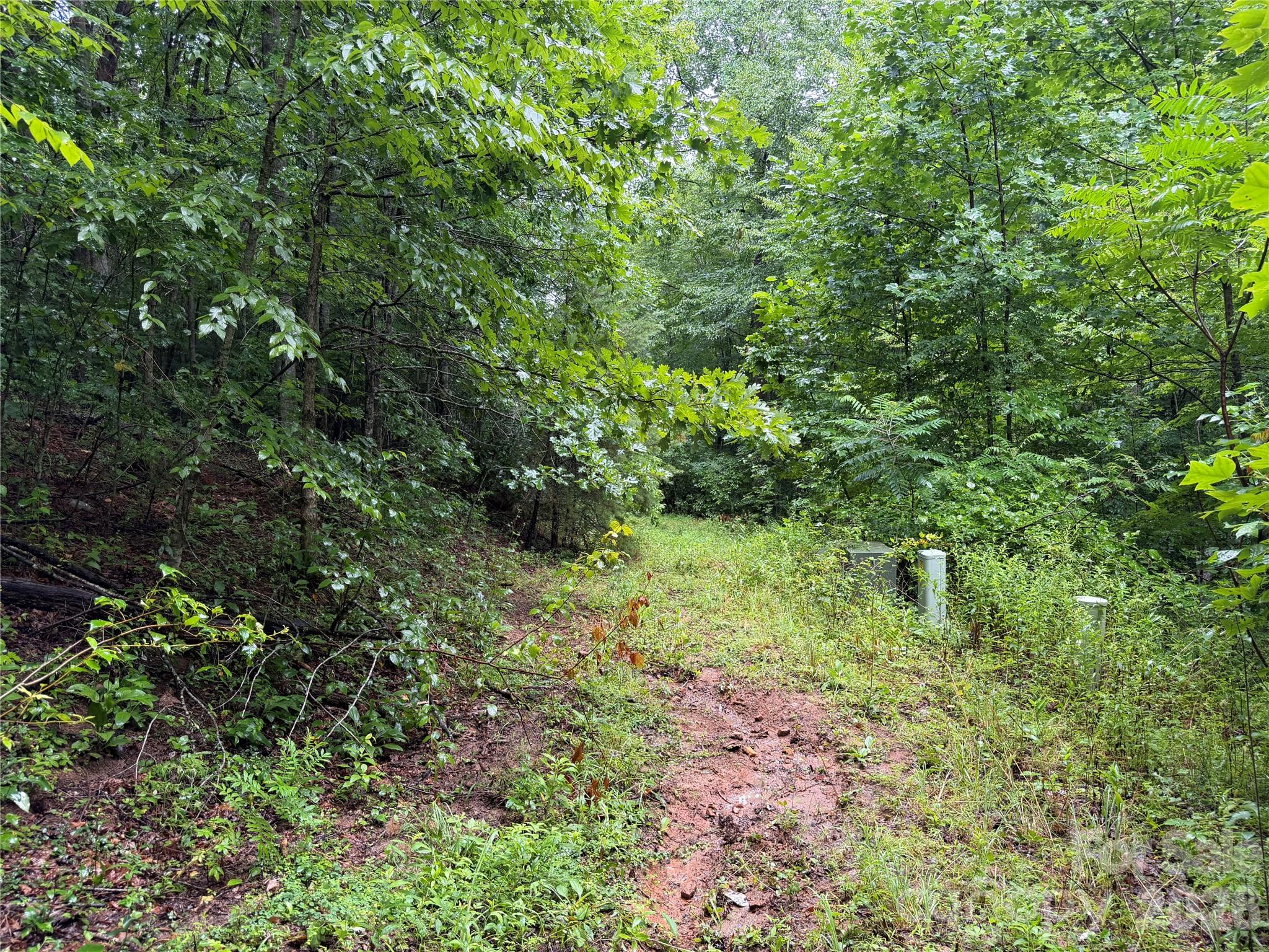 Off Donald McCall Road
