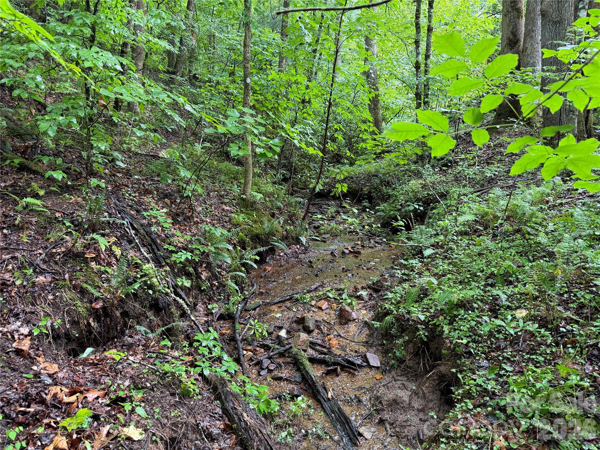 Off Donald McCall Road