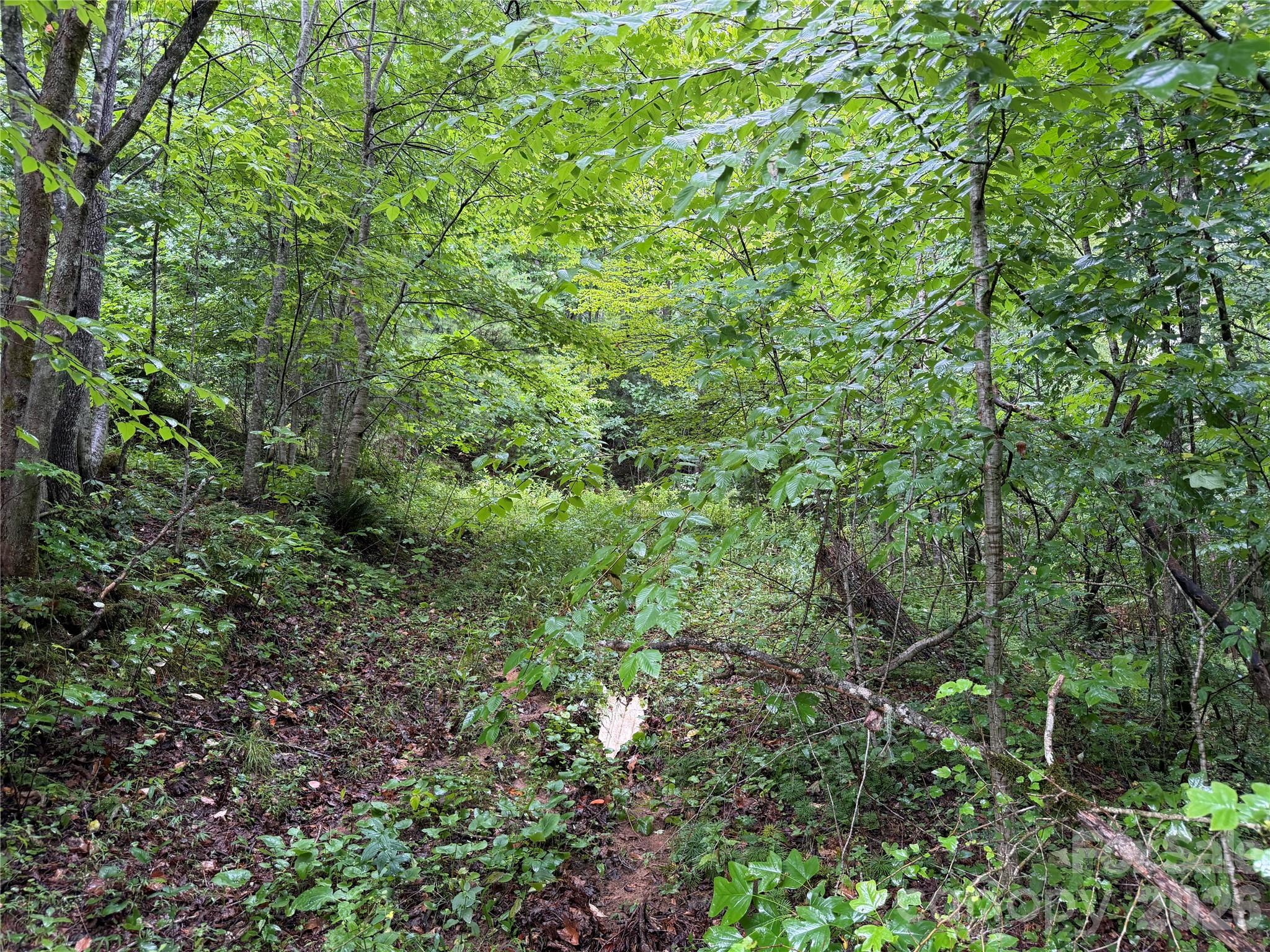 Off Donald McCall Road