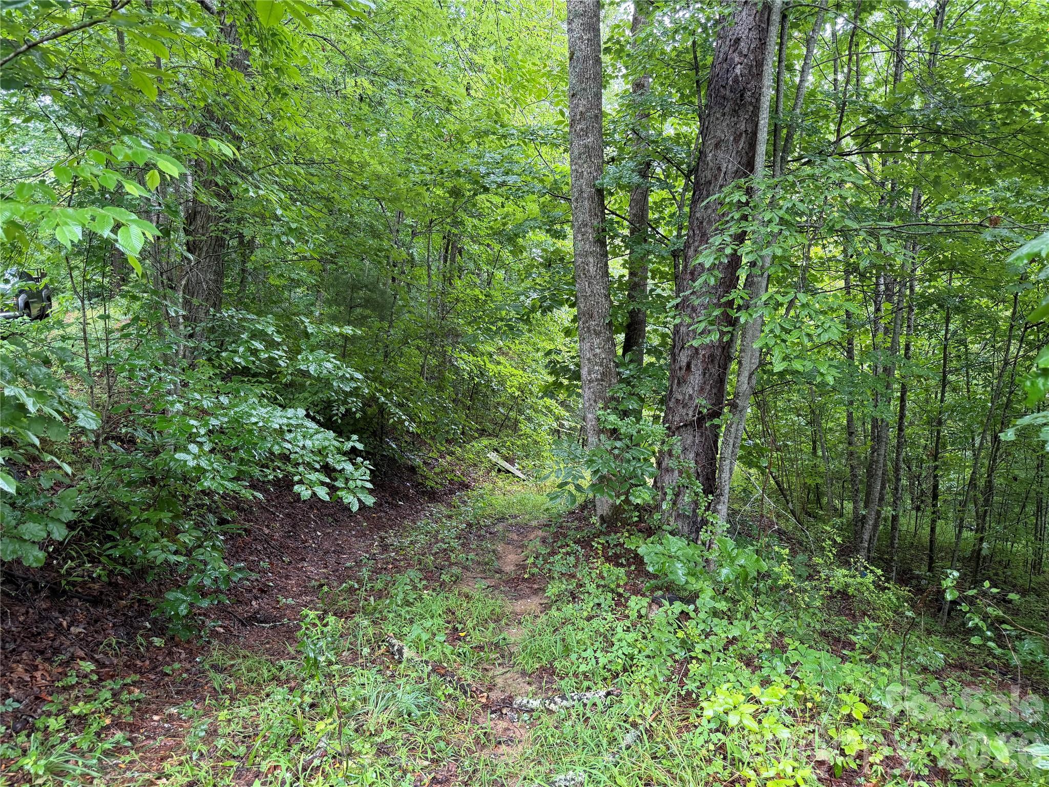 Off Donald McCall Road