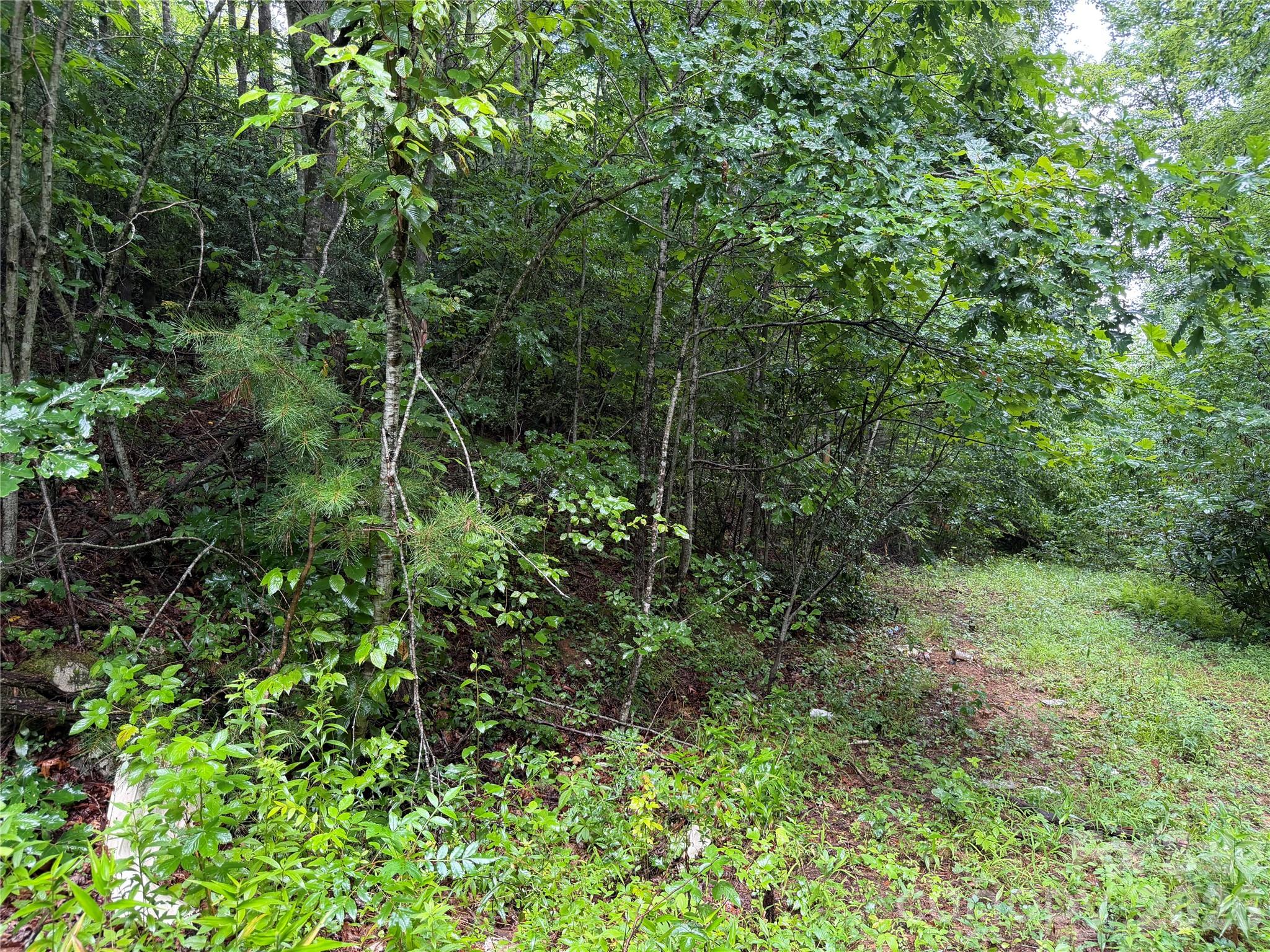 Off Donald McCall Road