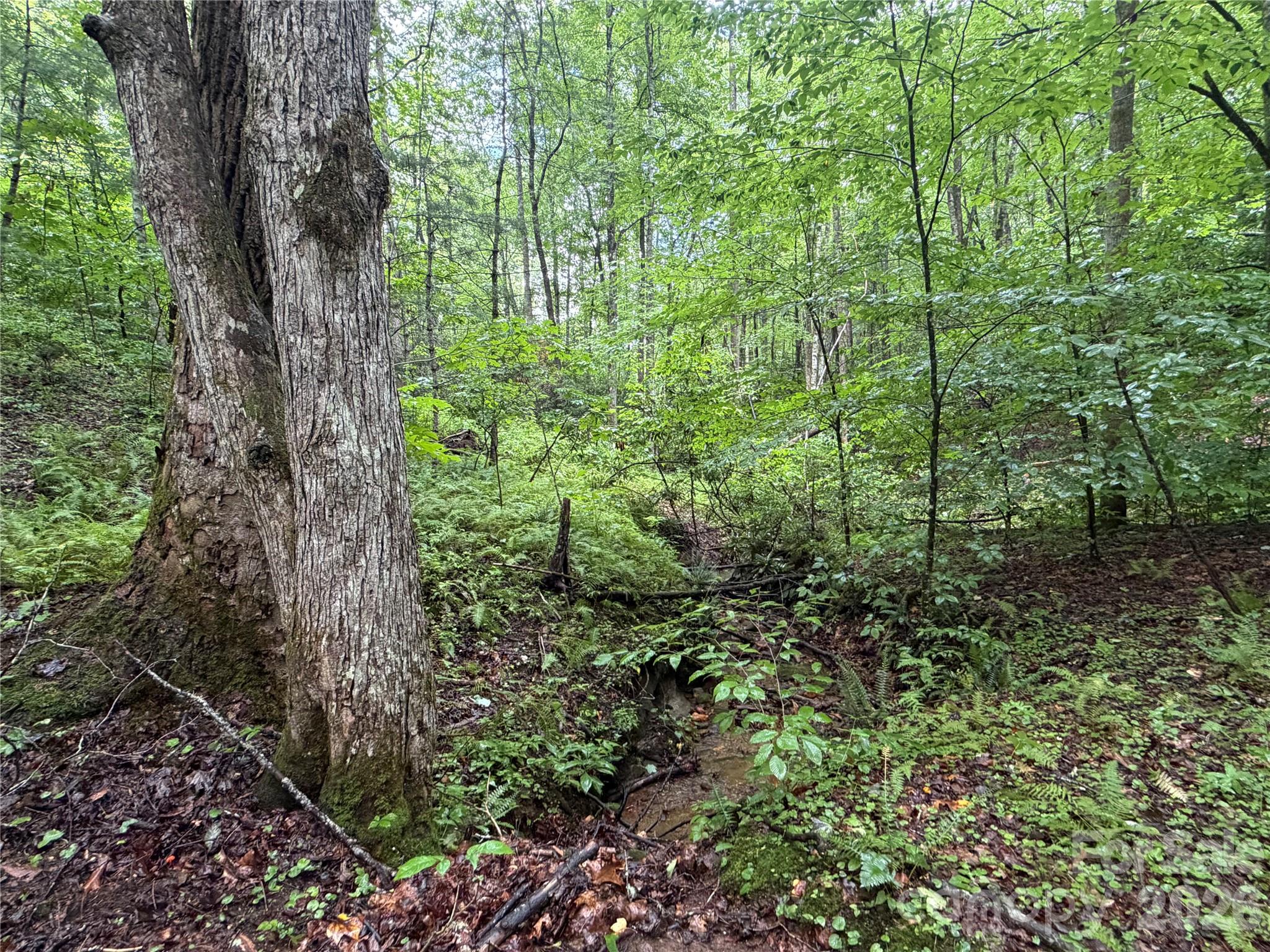 Off Donald McCall Road