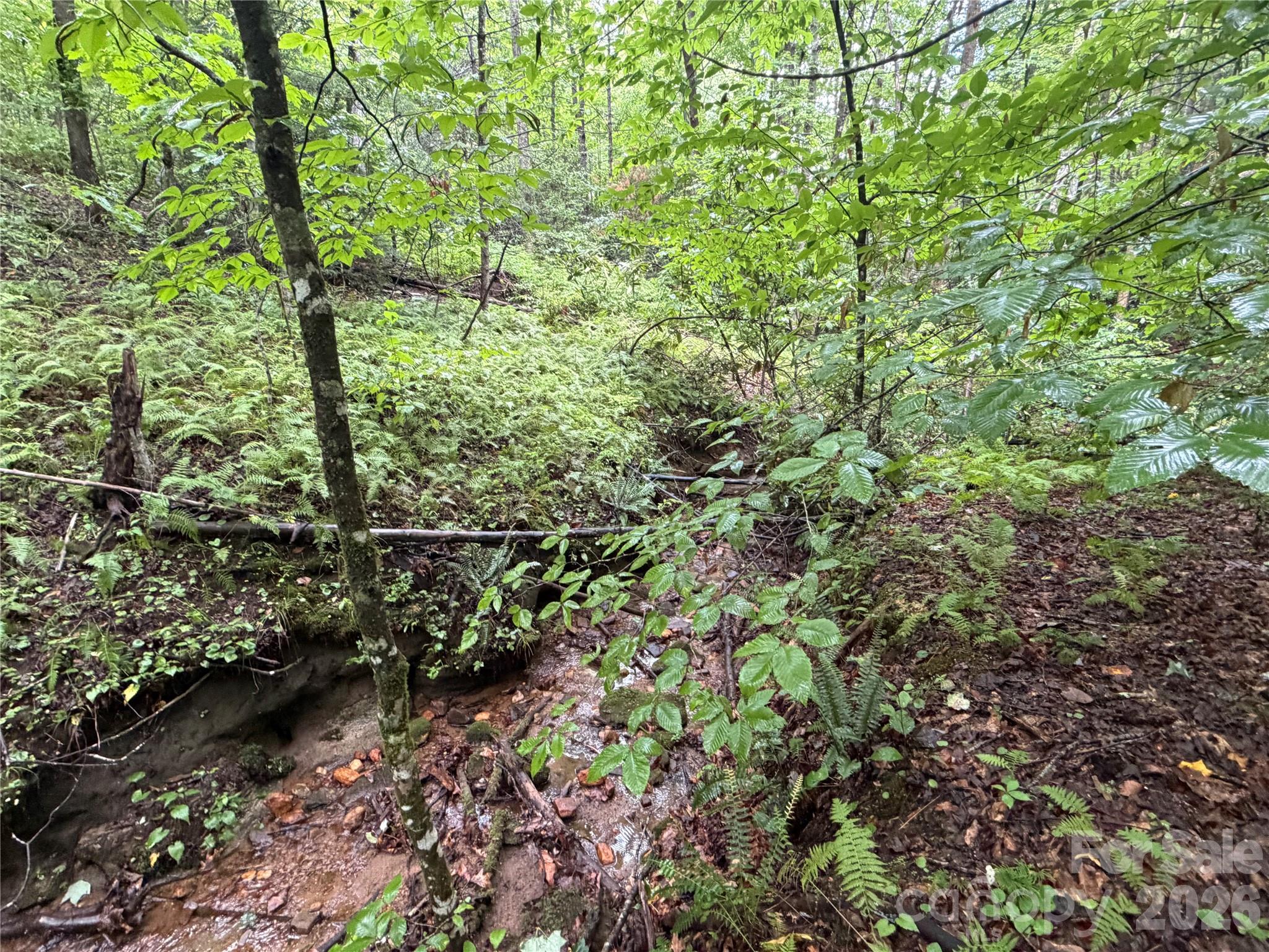 Off Donald McCall Road