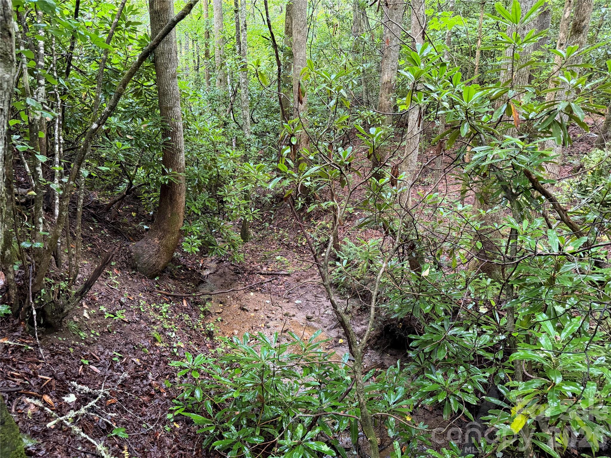 Off Donald McCall Road