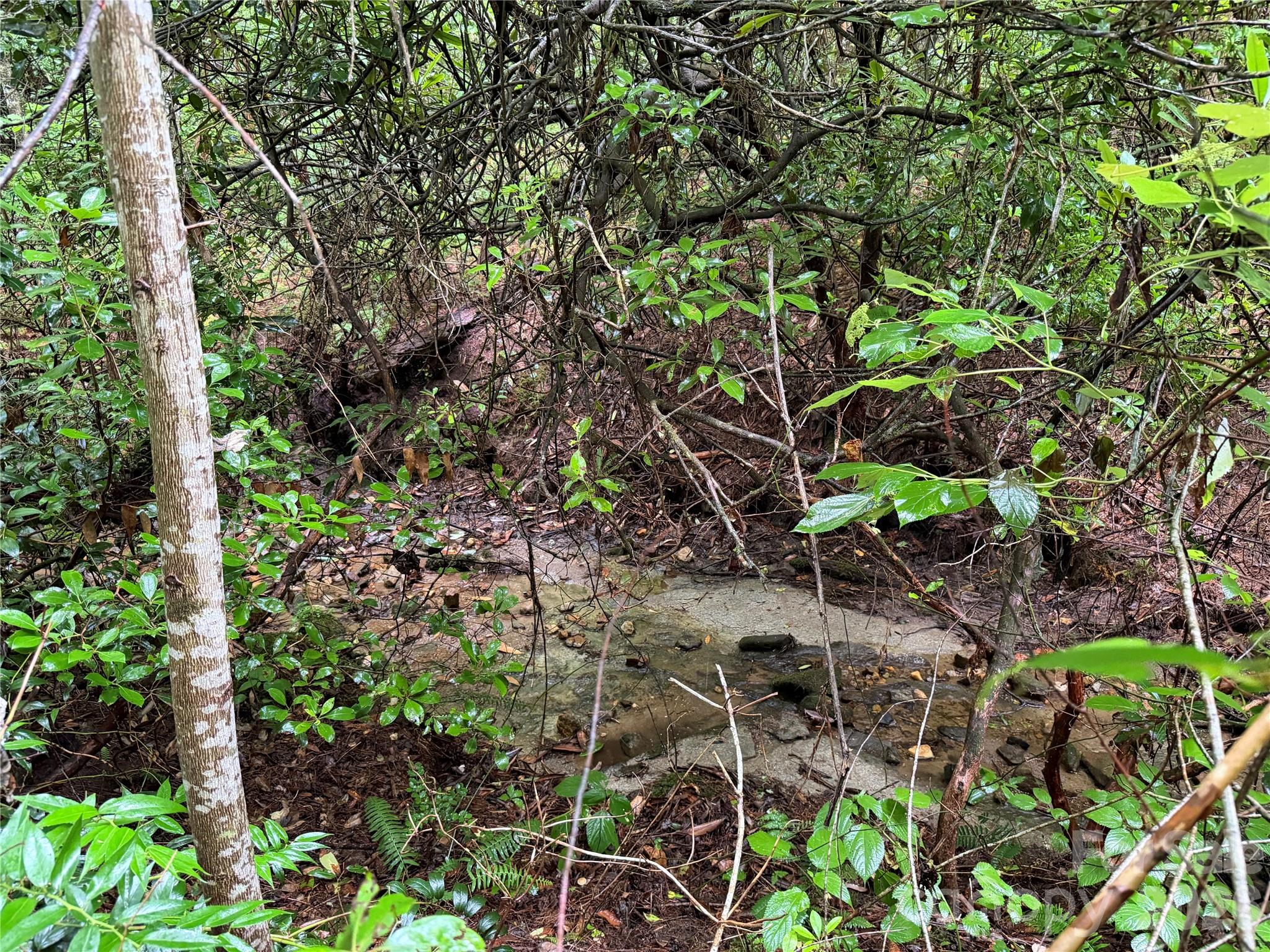 Off Donald McCall Road