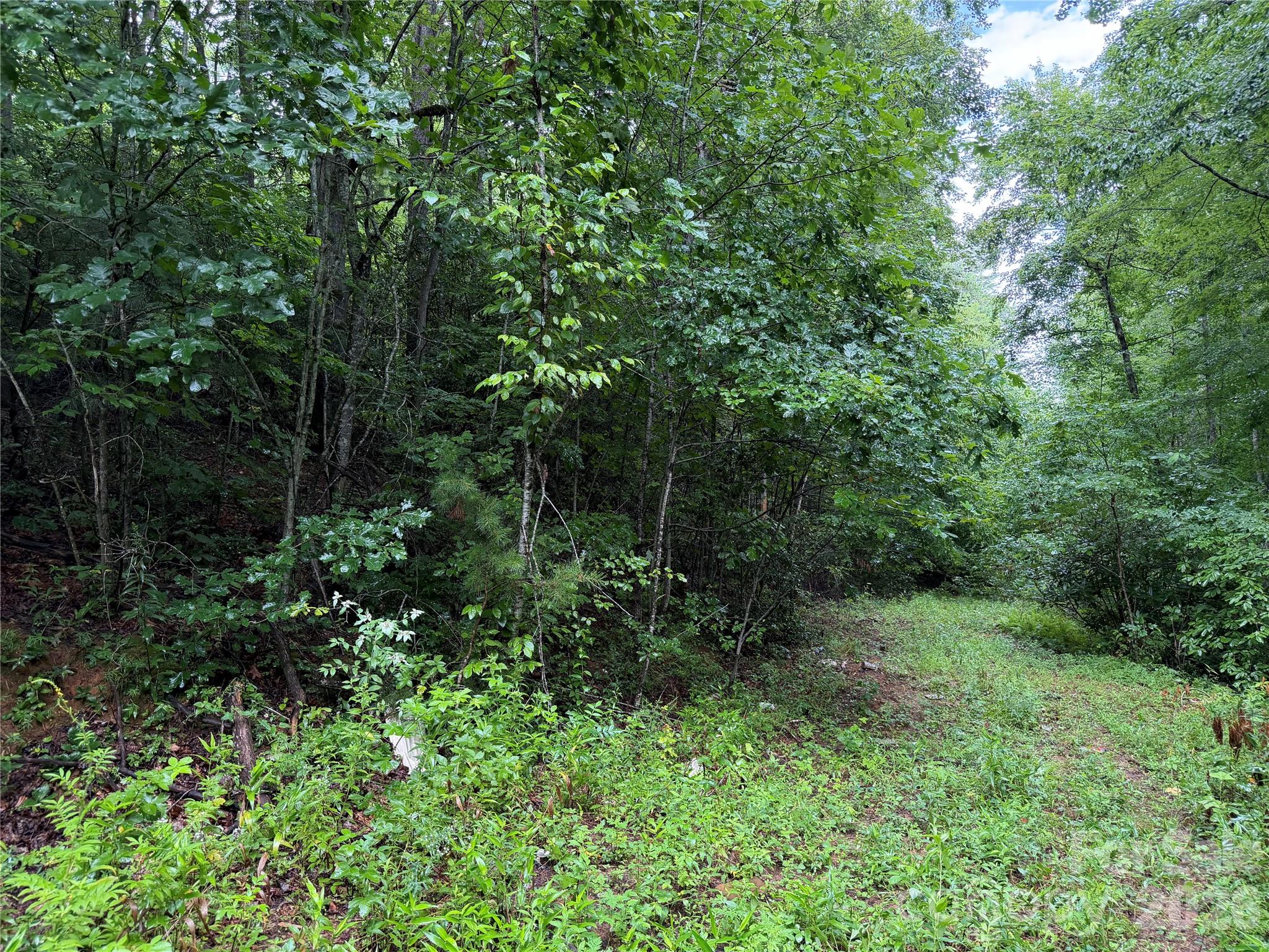 Off Donald McCall Road