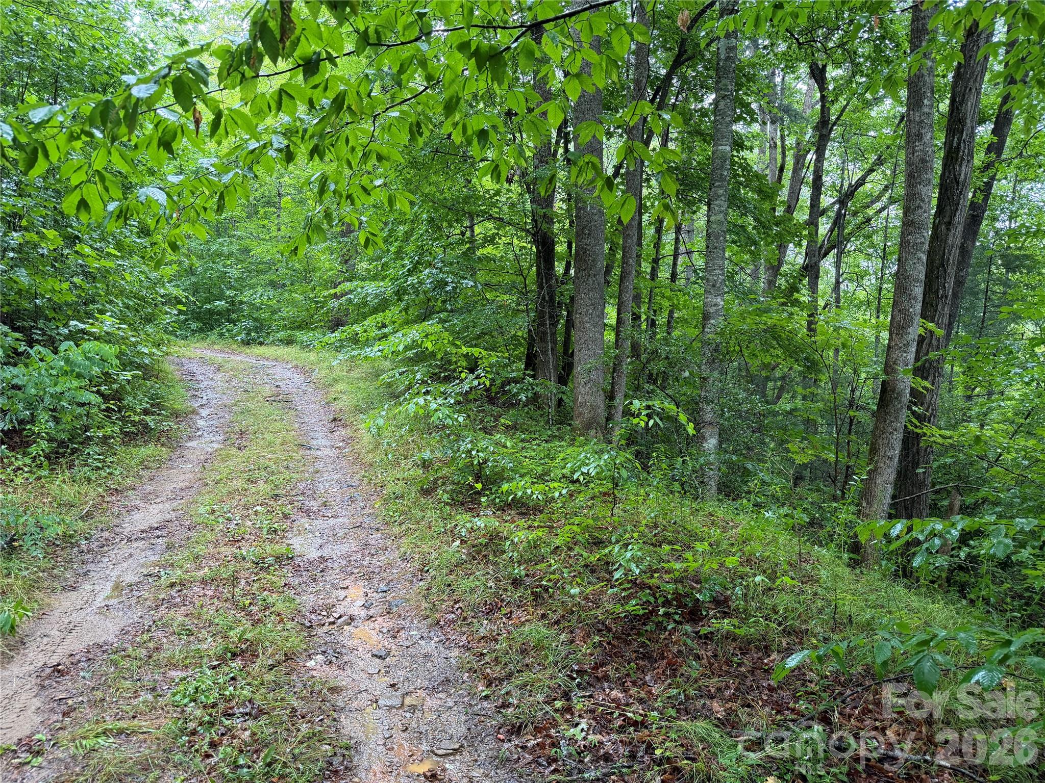 Off Donald McCall Road
