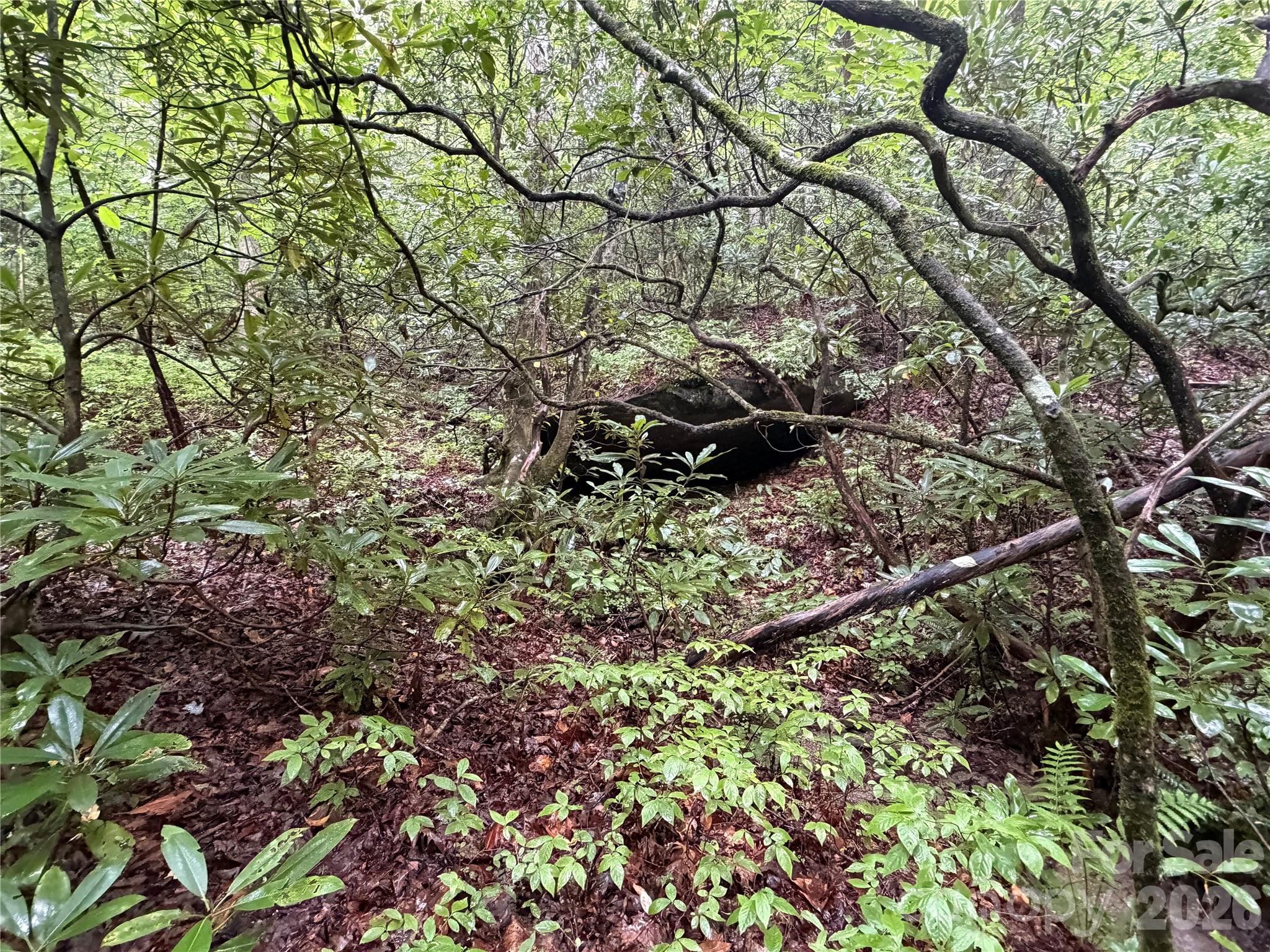 Off Donald McCall Road