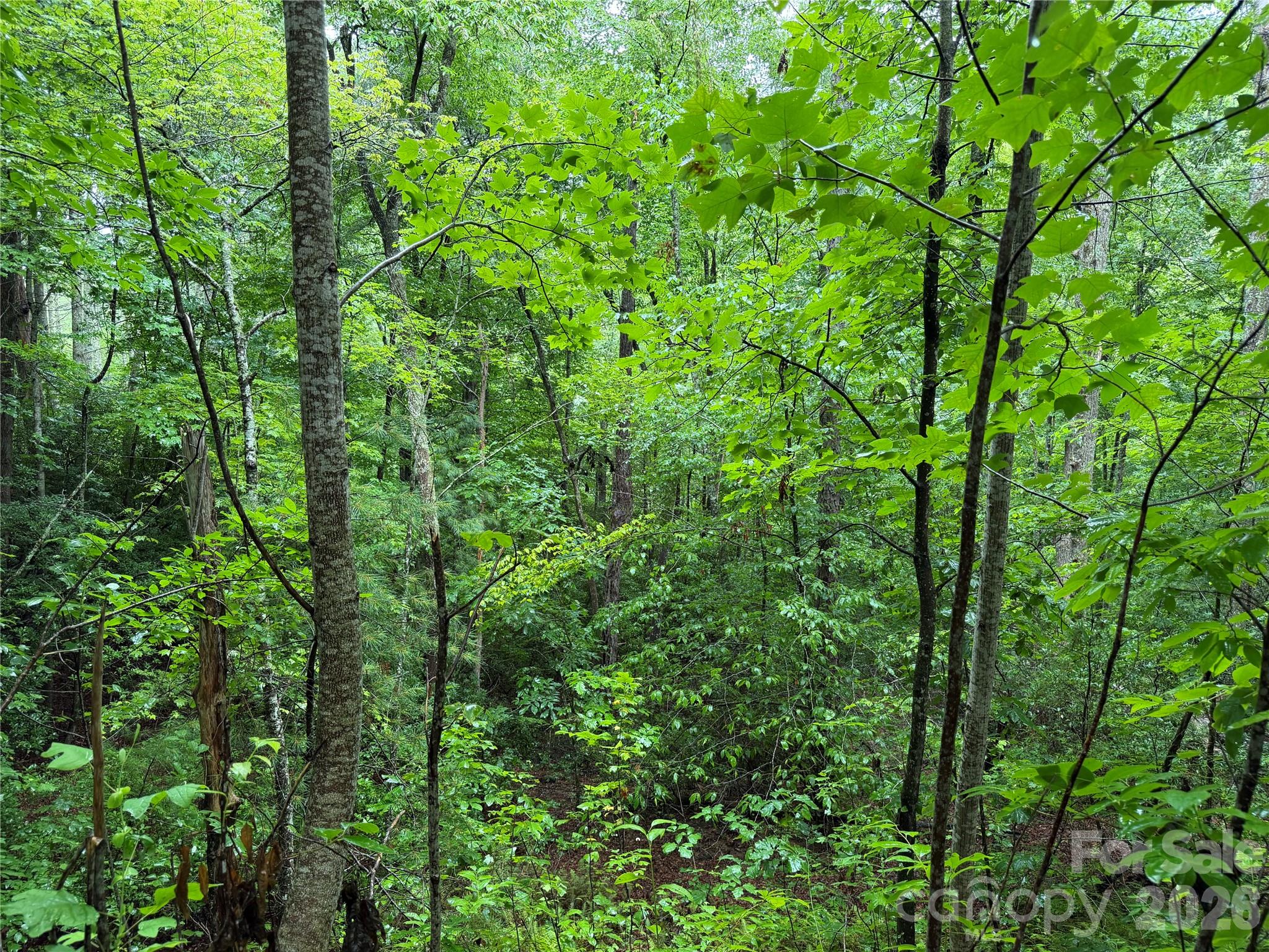 Off Donald McCall Road