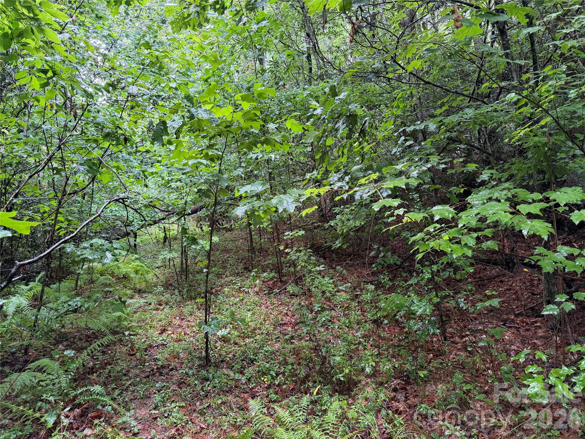 Off Donald McCall Road