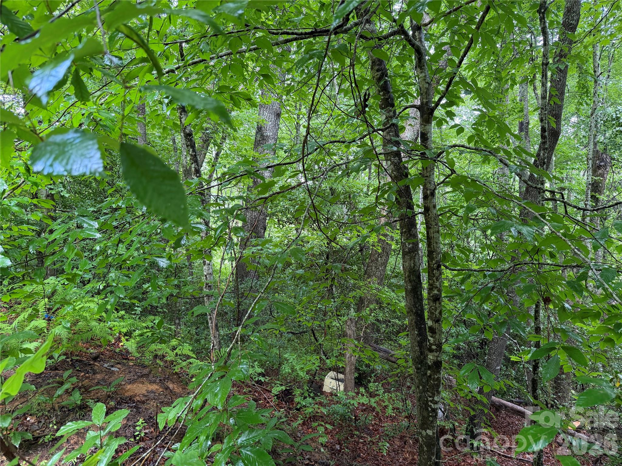 Off Donald McCall Road