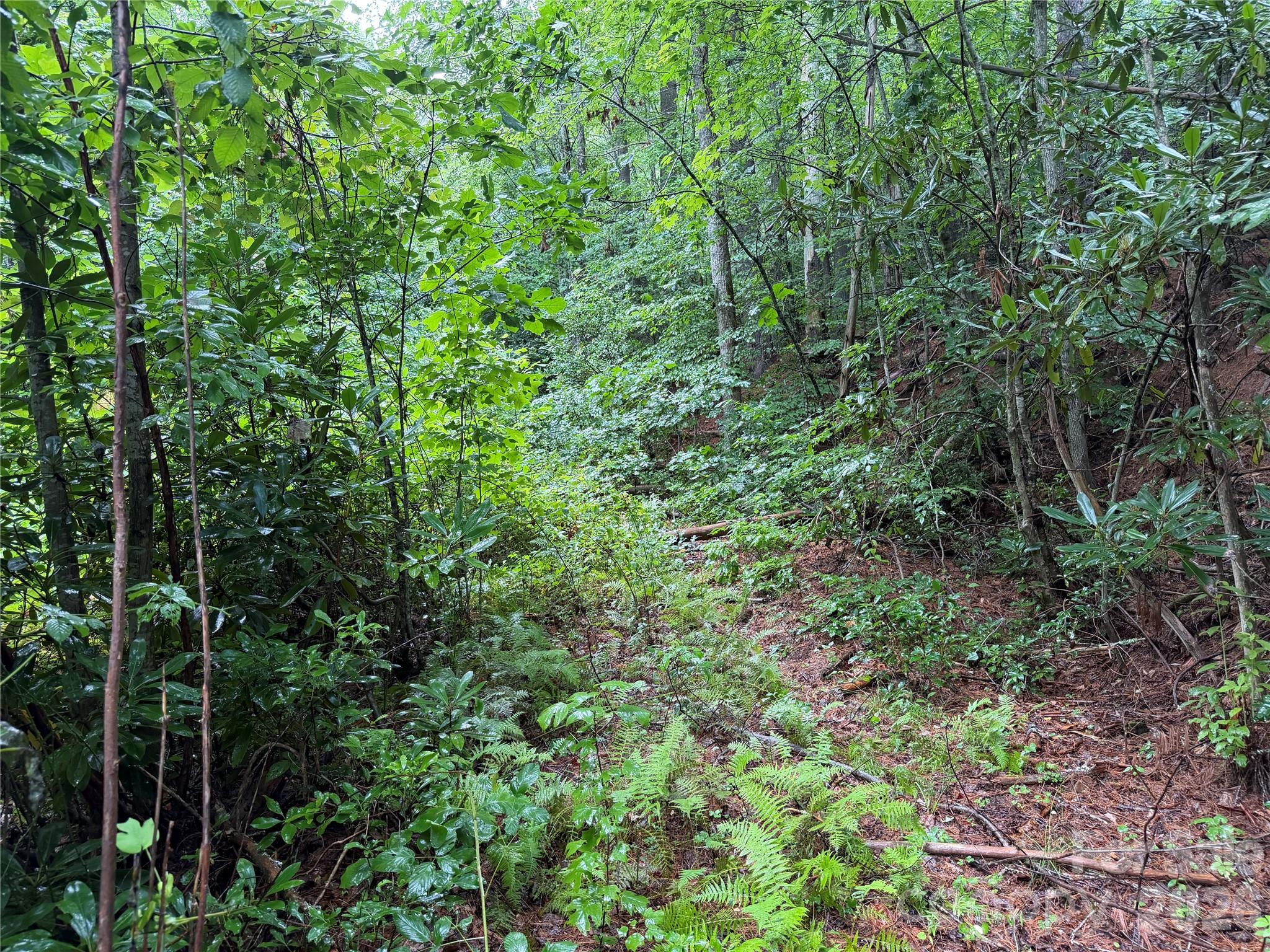 Off Donald McCall Road